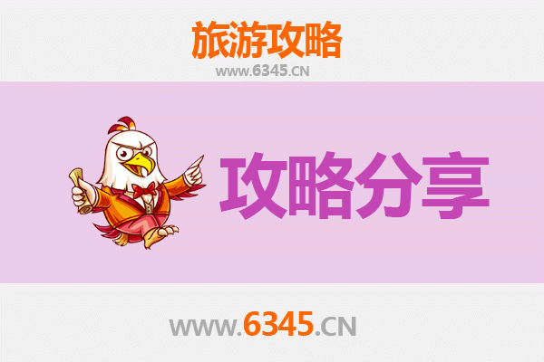 红河旅游攻略：跟团与自由行深度解析
